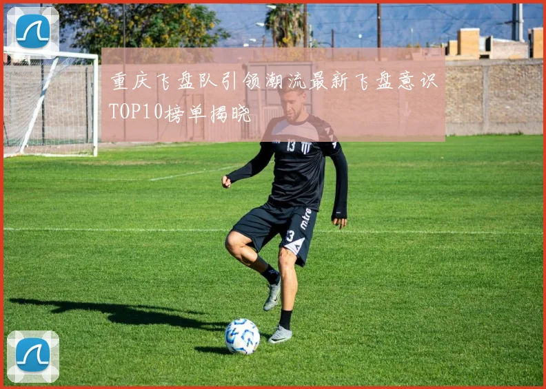 重庆飞盘队引领潮流最新飞盘意识TOP10榜单揭晓